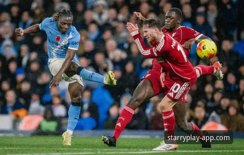 星空体育平台2025最新版本iOS版详解